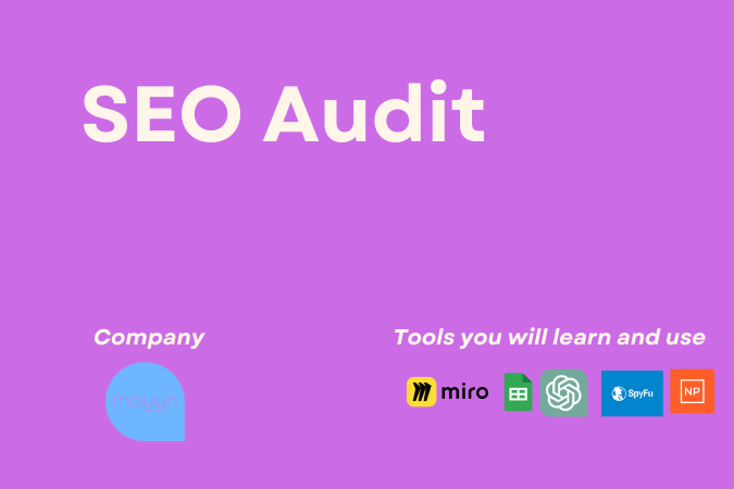 SEO Audit Moyyn