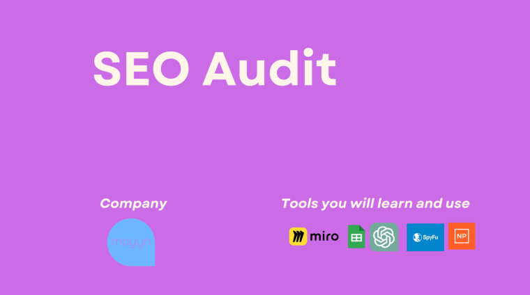 SEO Audit Moyyn